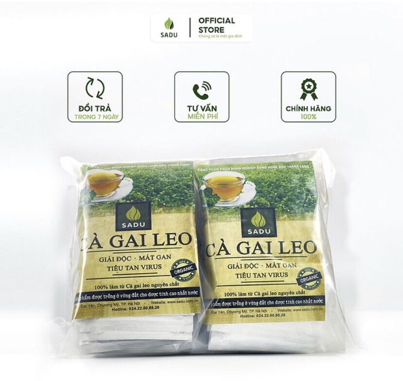 Combo 10 gói Cà gai leo Sadu 600gr