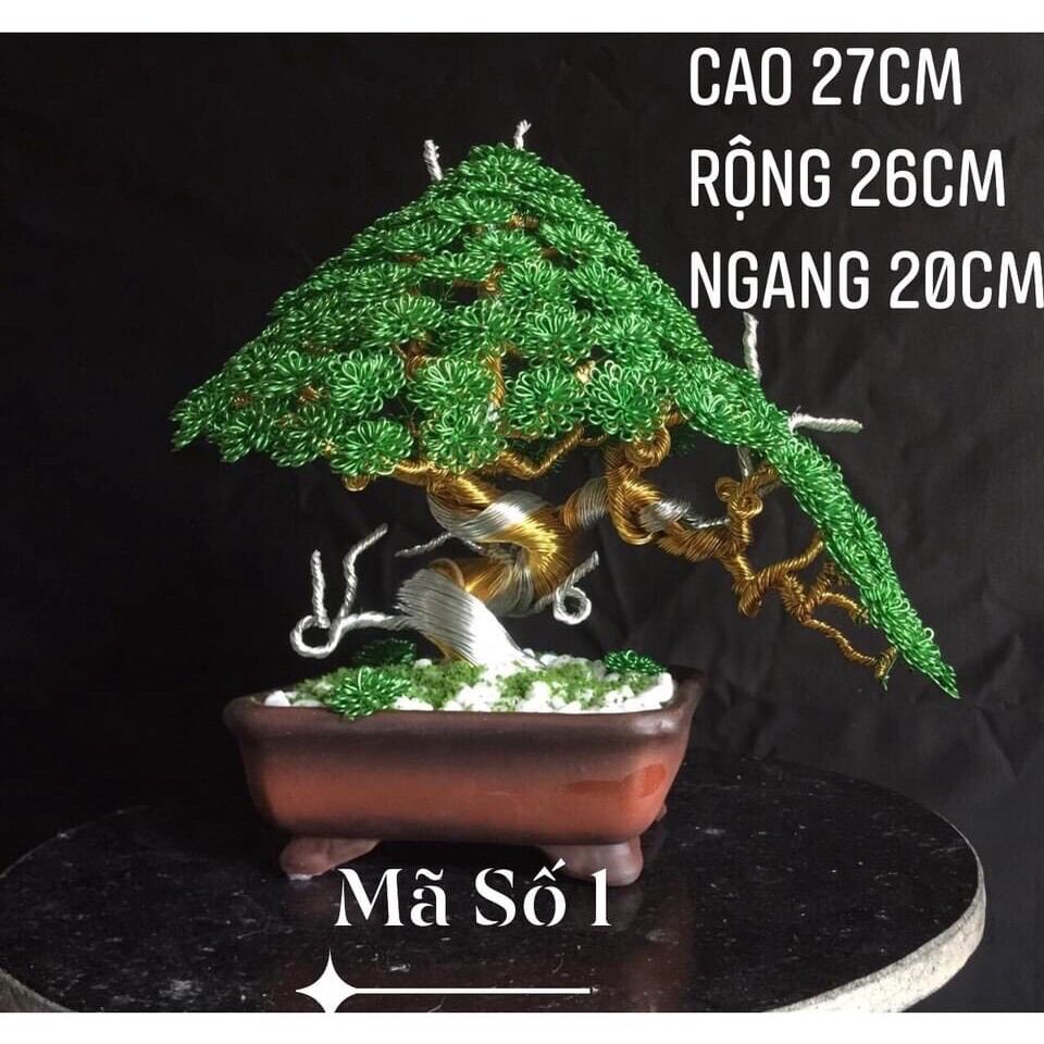 Cây cảnh bonsai handmade