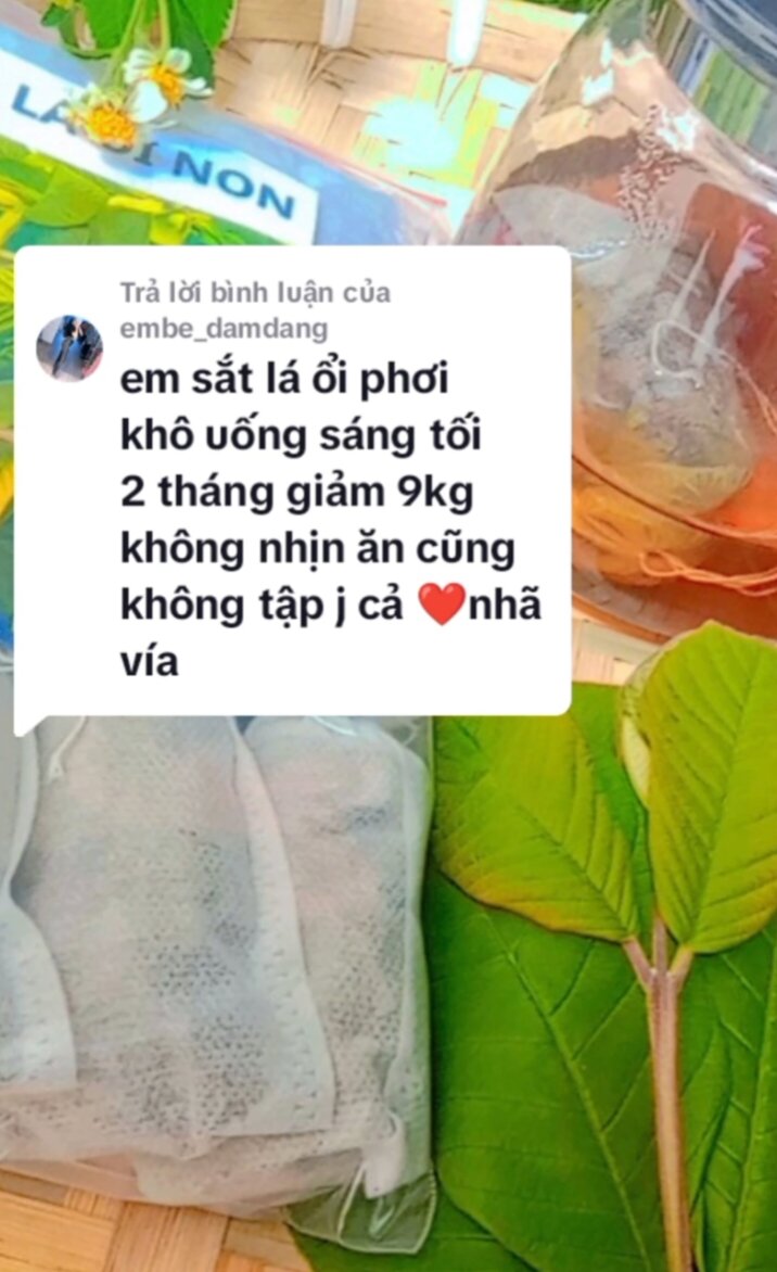 Trà lá Ổi giảm cân 30 gói