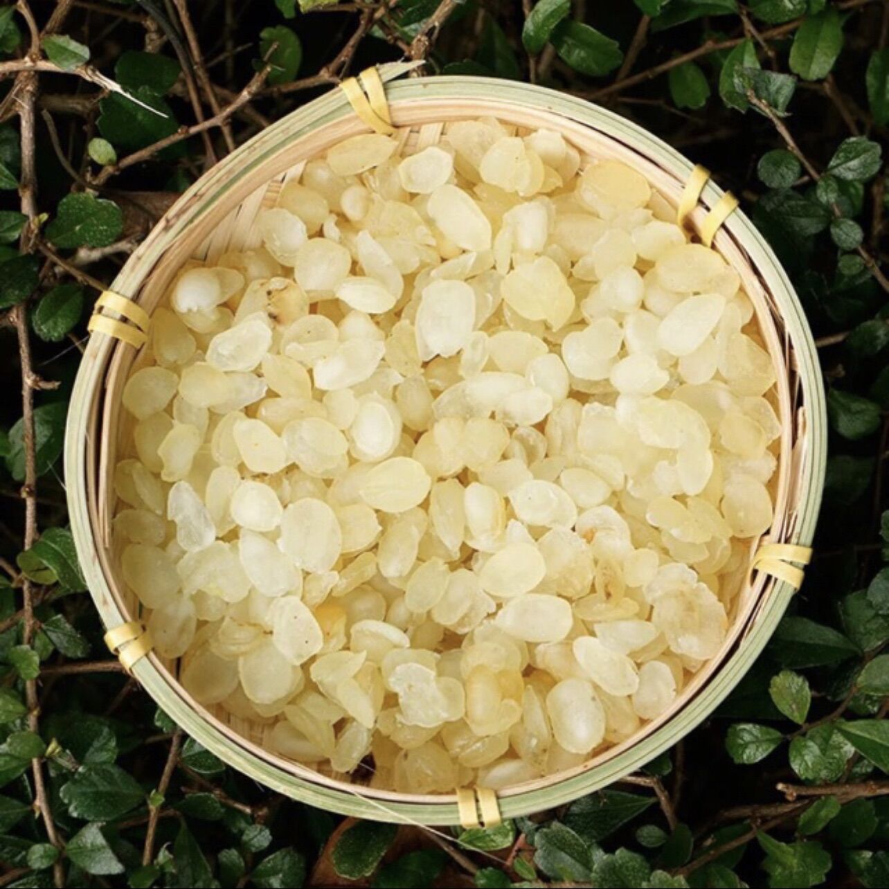 Hạt Bồ mễ - chè dưỡng nhan 100gr