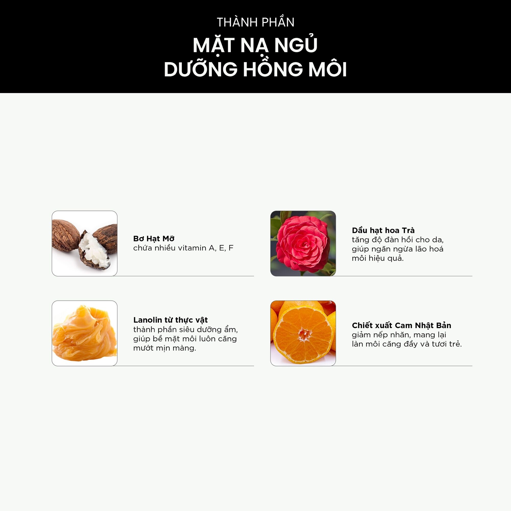 Mặt Nạ Ngủ Dưỡng Môi SKINLAX ( 10g )