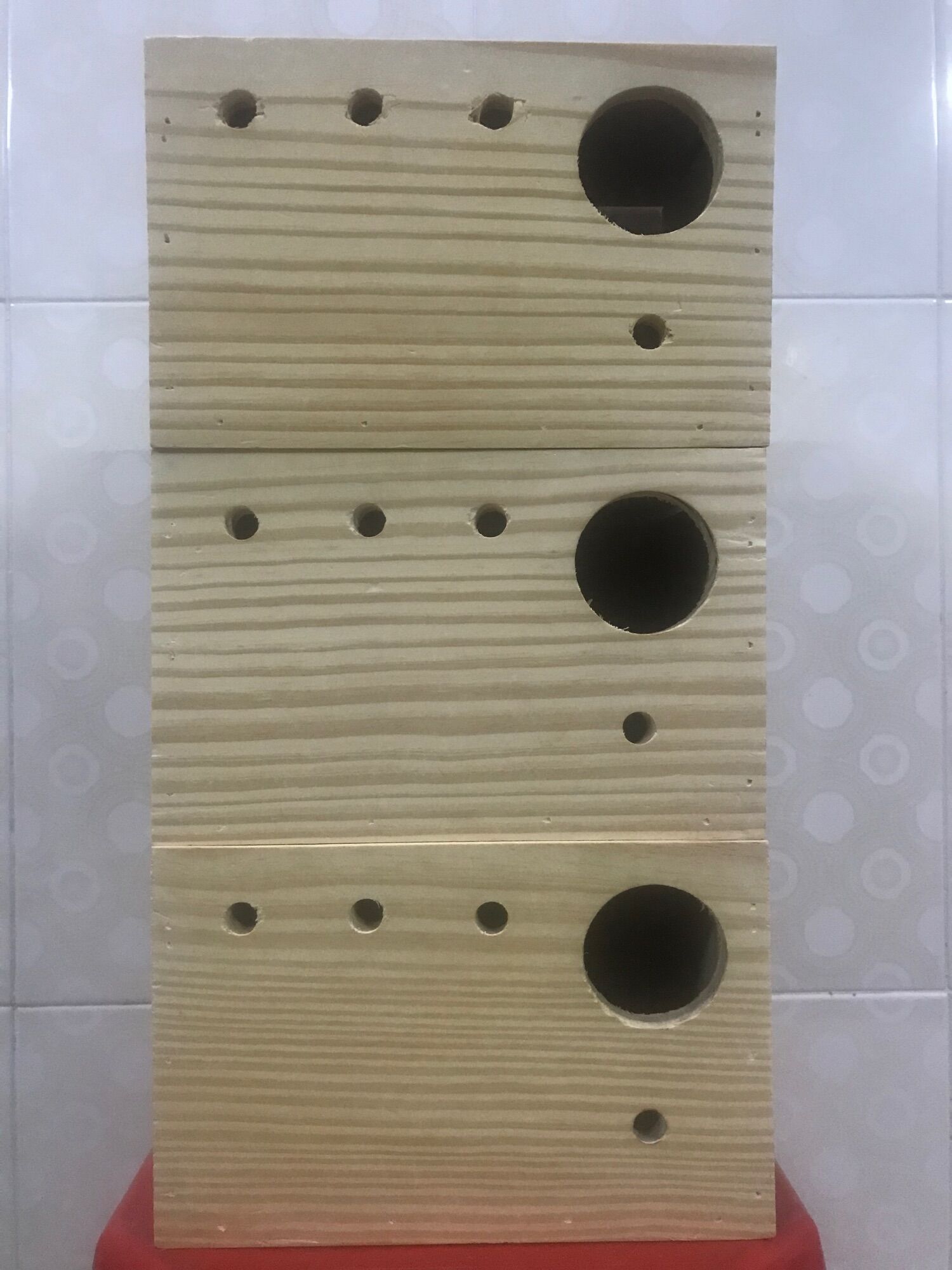 Tổ đẻ Yến phụng