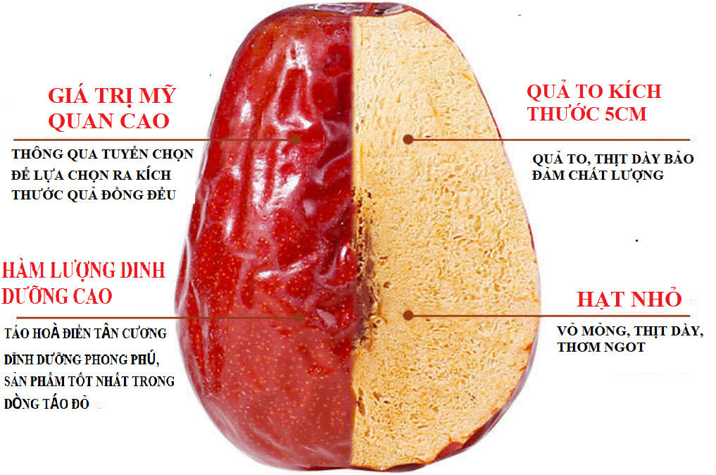 TÁO KHÔ HÒA ĐIỀN TÂN CƯƠNG 1kg