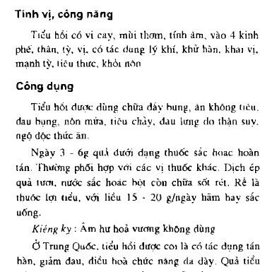 100g Tiểu Hồi