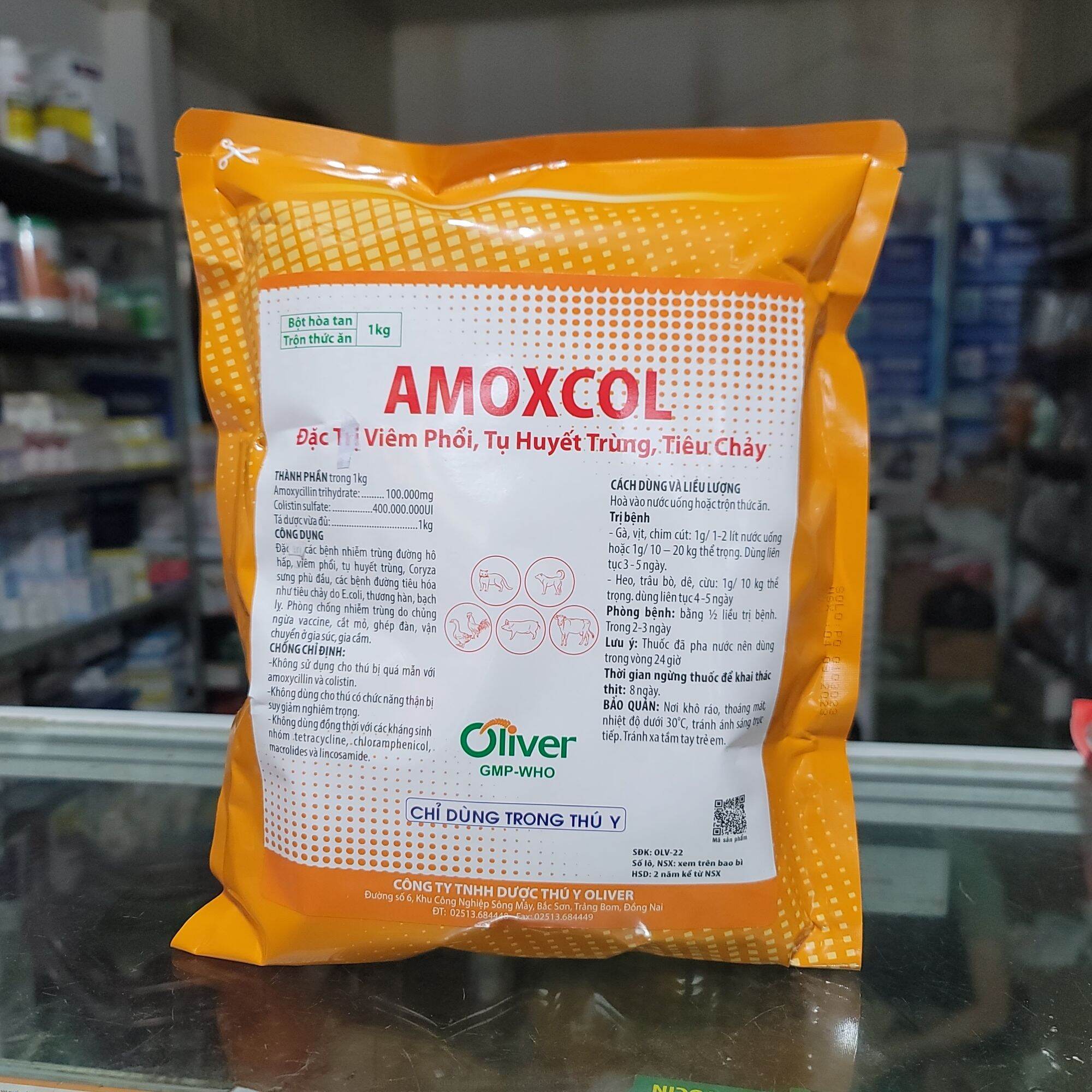 Amox 10 Amoxycol chuyên viêm phổi, tụ huyết trùng, thương hàn, viêm ruột tiêu chảy ở thú cưng