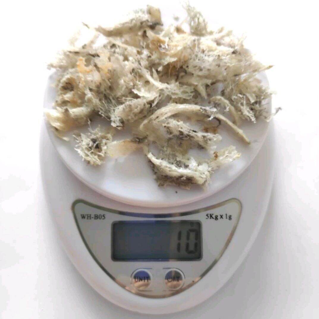 Yến sào thô vụn tổ 10g (không kèm nguyên liệu)
