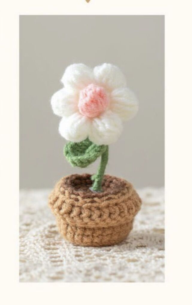 Chậu hoa mini handmade