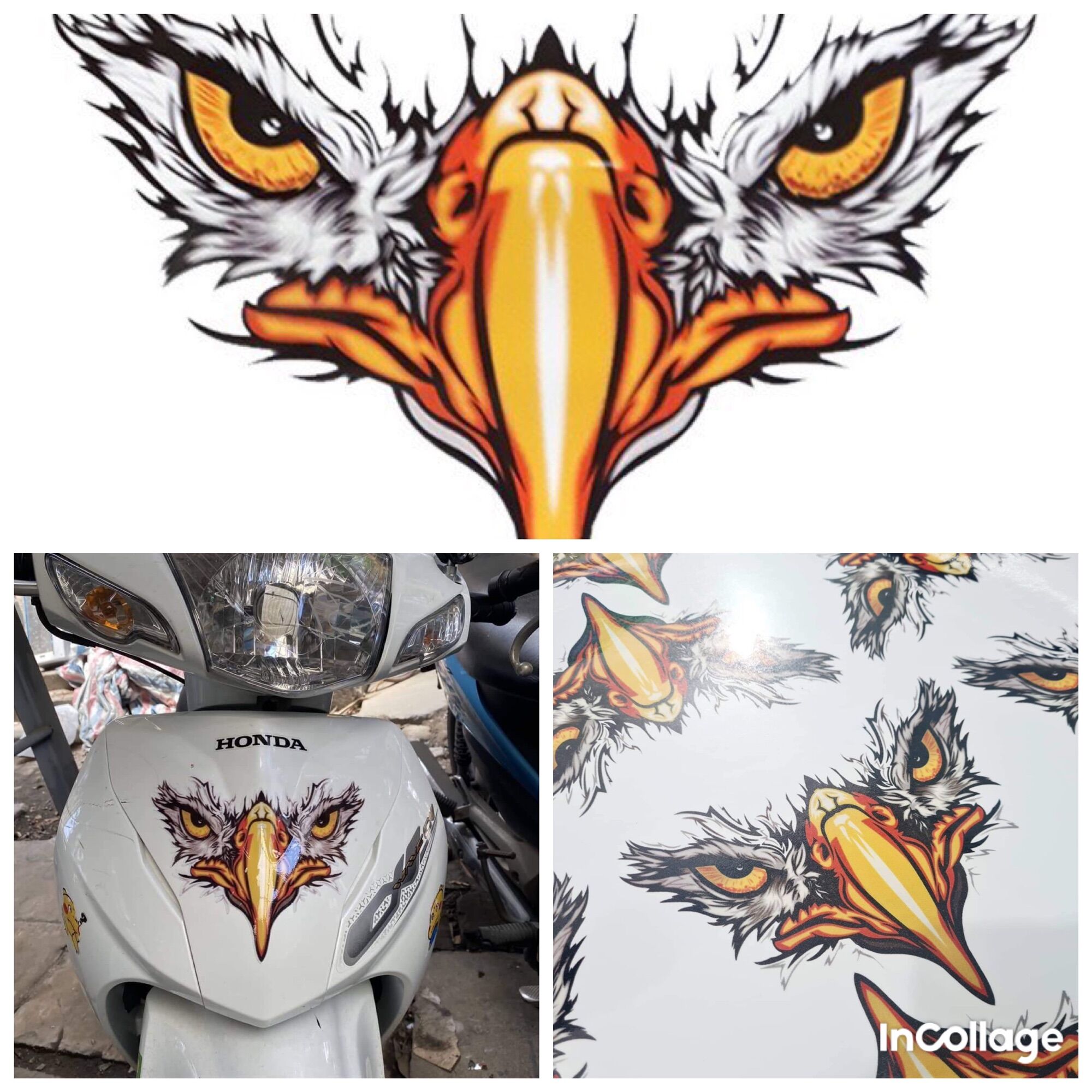 Tem decal trang trí mặt lạ các loại xe mẫu đại bàng 3d cực chất