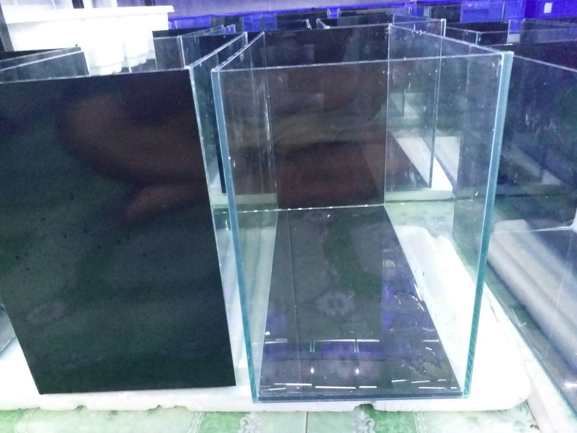 Hồ Cá Guppy 30.45.20