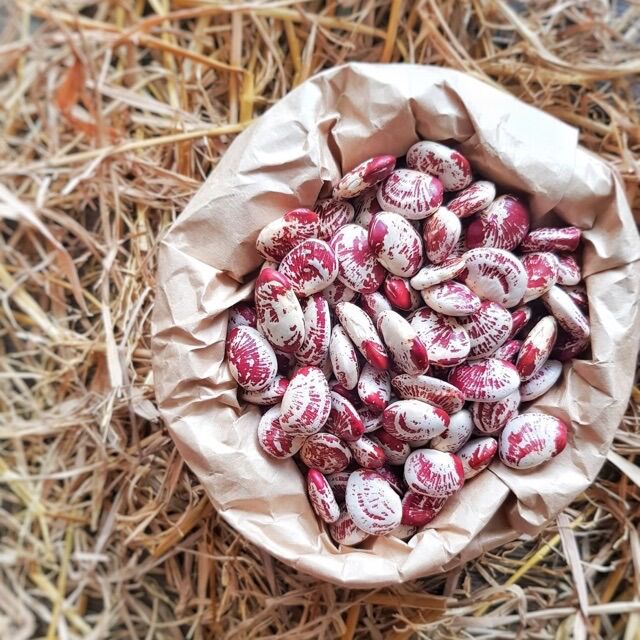 500gr đậu ngự hàng khô