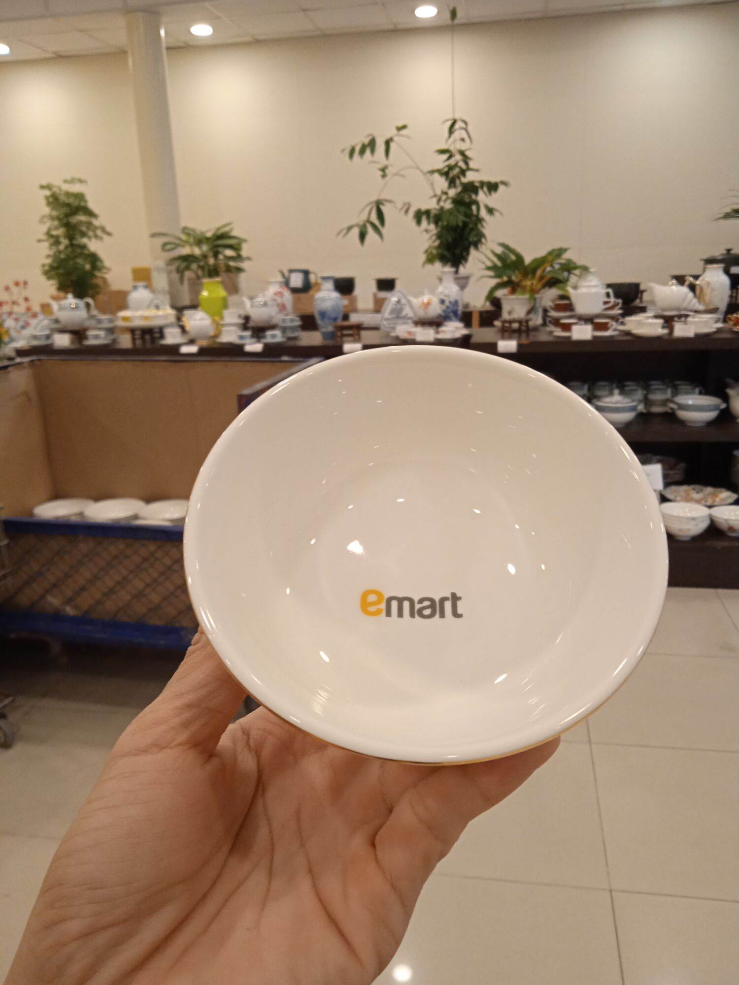 Bộ 10 chén cơm Minh Long VCV - EMart
