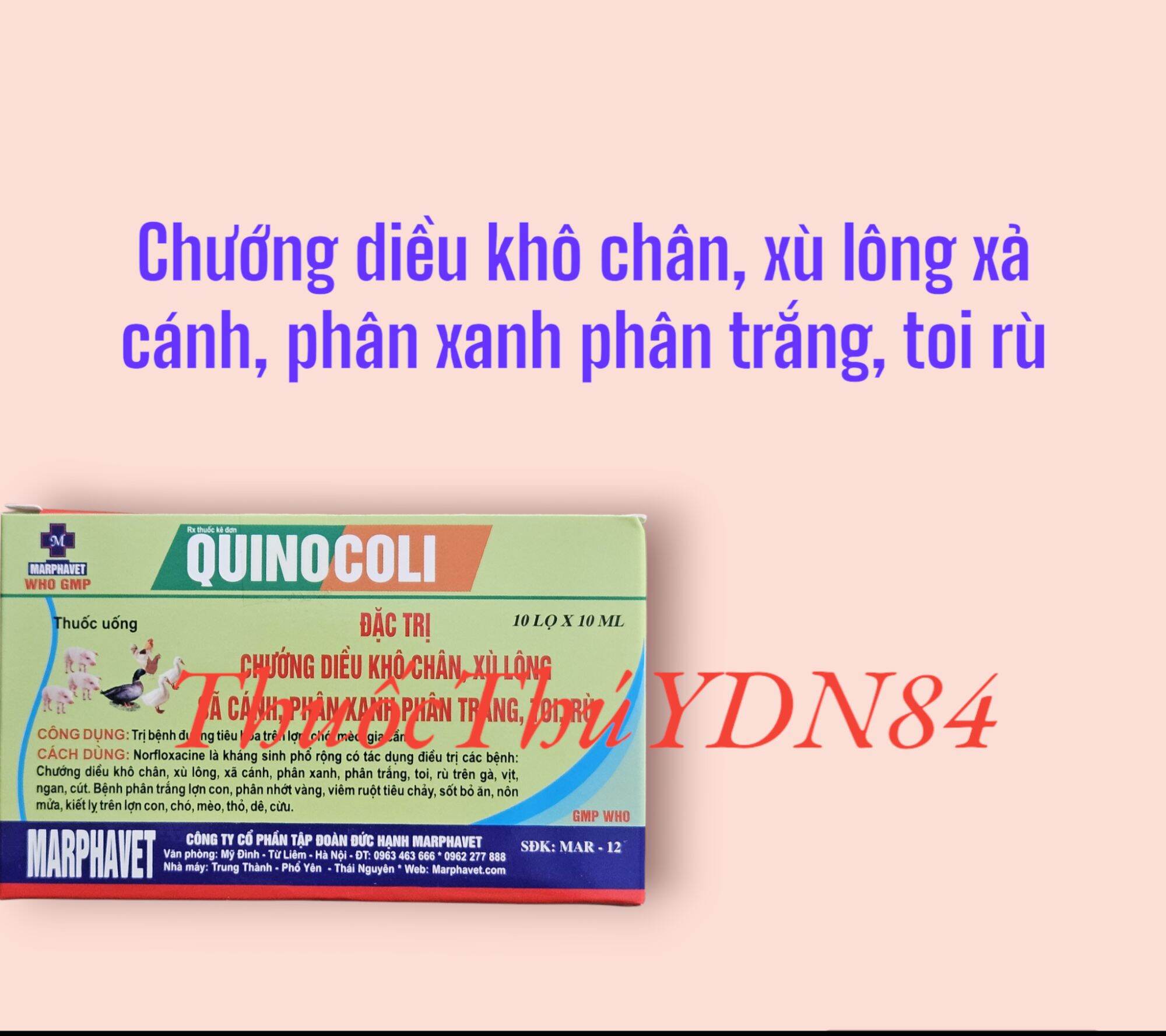 Hộp 10 lọ quinocoli 10ml chướng diều, khô chân, xù lông, sã cánh, phân xanh phân trắng gà, vịt
