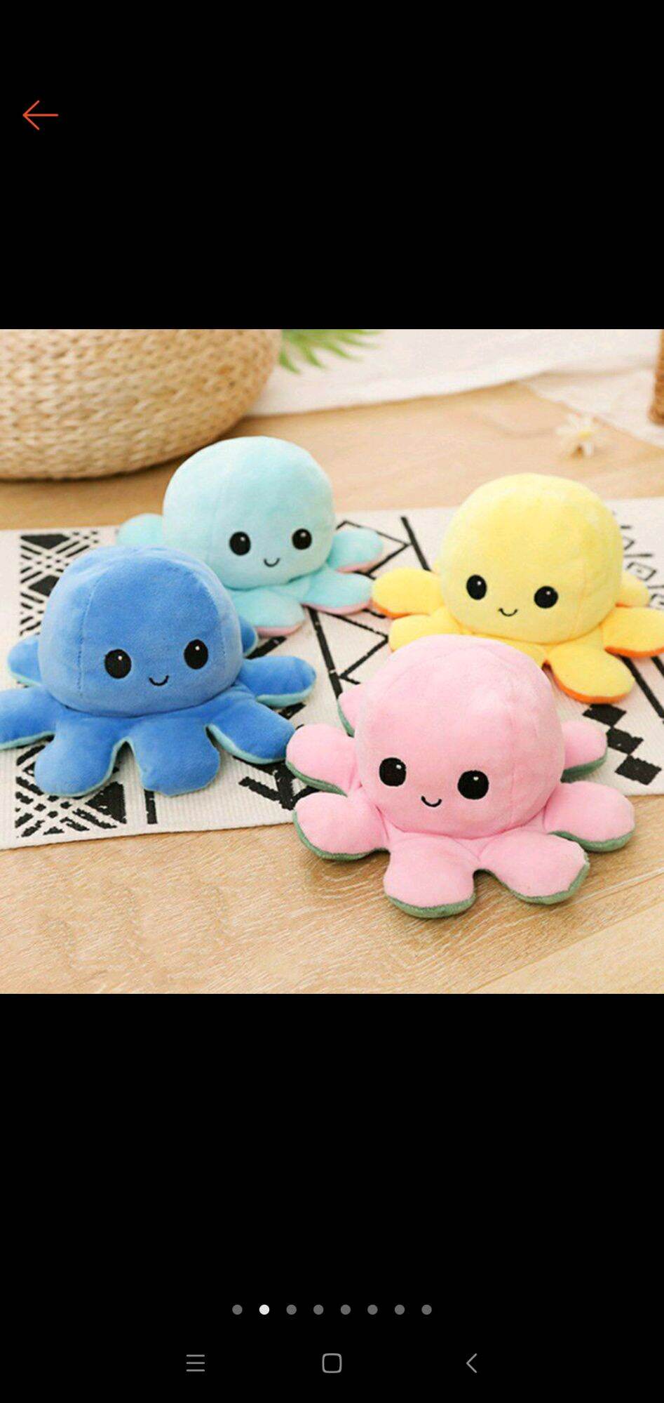 Bạch Tuộc size lớn