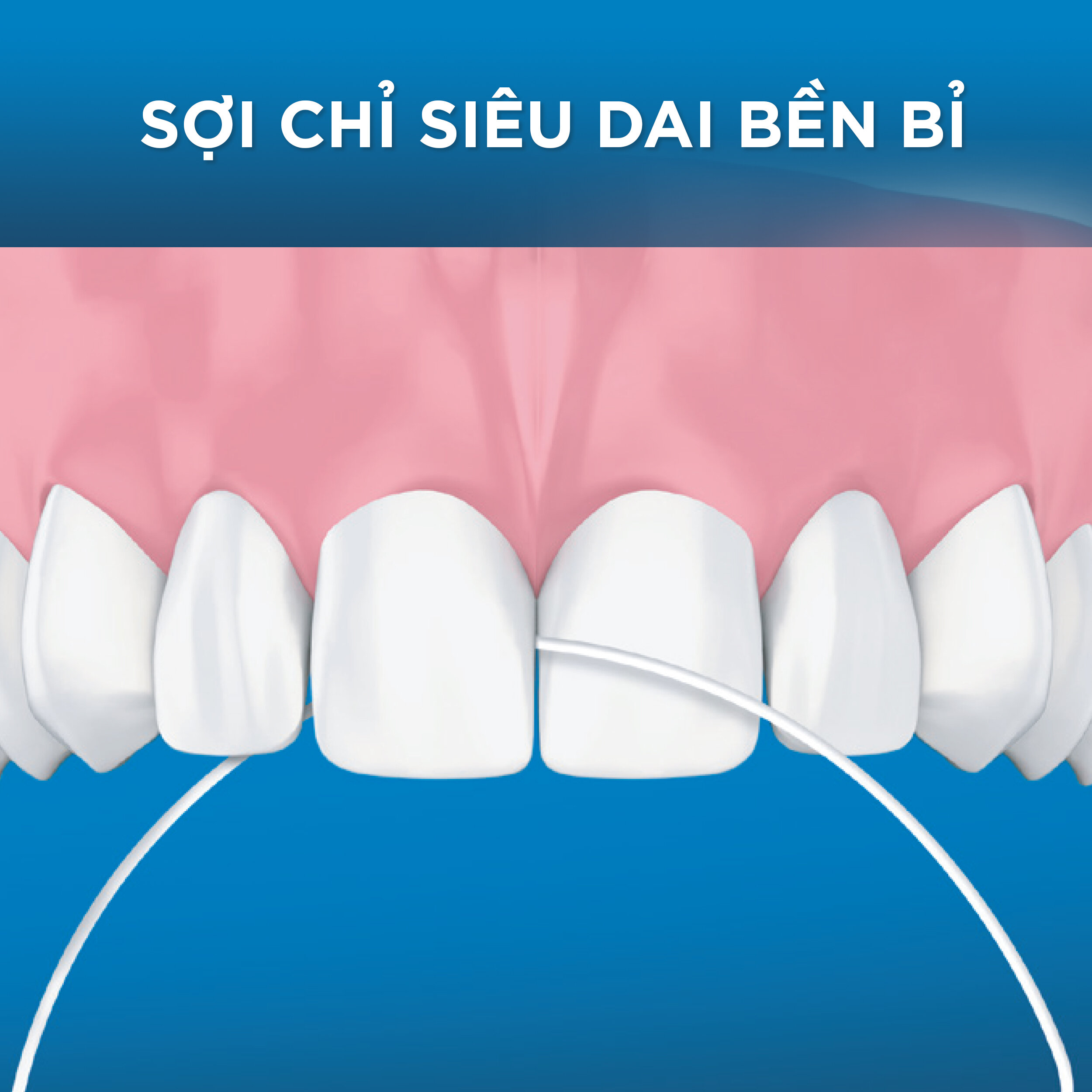 Combo 2 Chỉ Nha Khoa ORAL-B Essential Floss Bạc Hà Hộp 50M