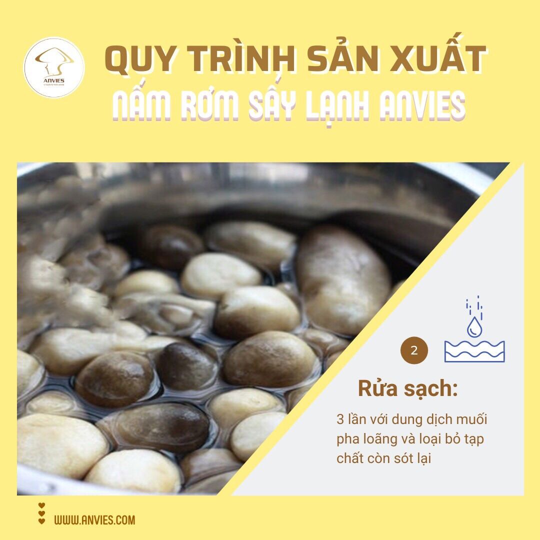 NẤM RƠM SẤY LẠNH CAO CẤP ANVIES