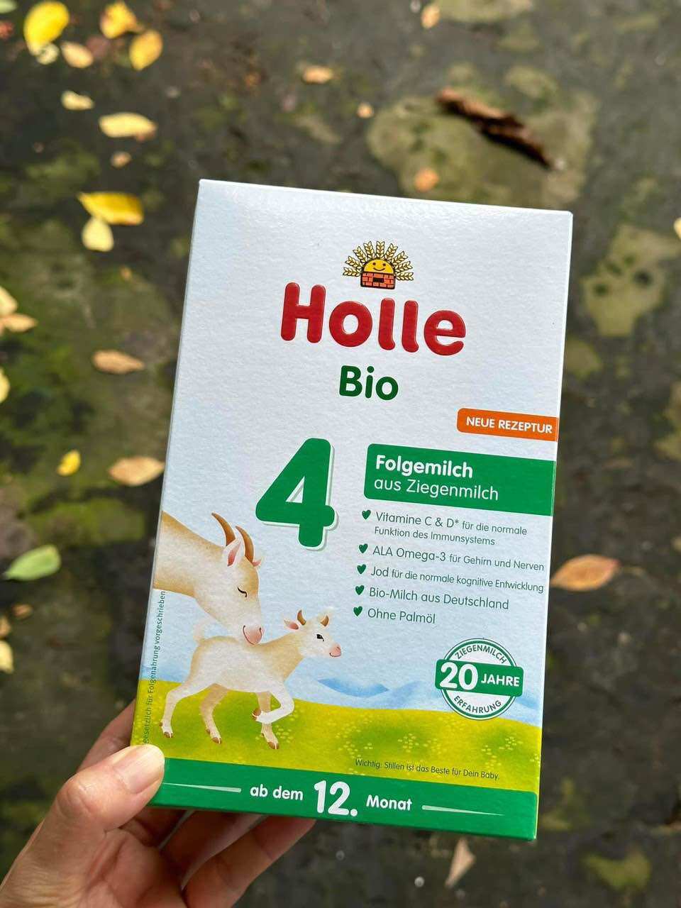 Holle dê số 4