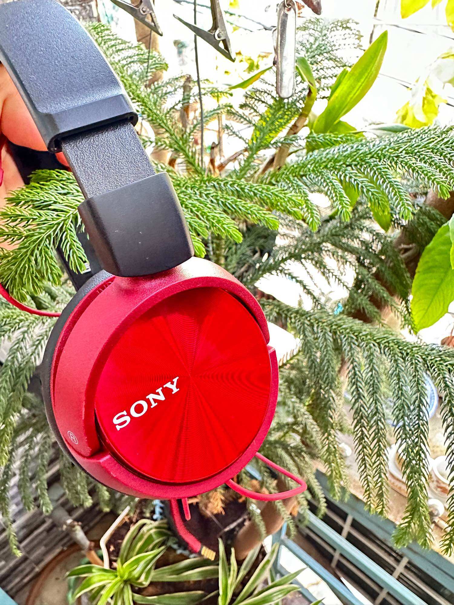 Tai nghe sony hàng si nhật