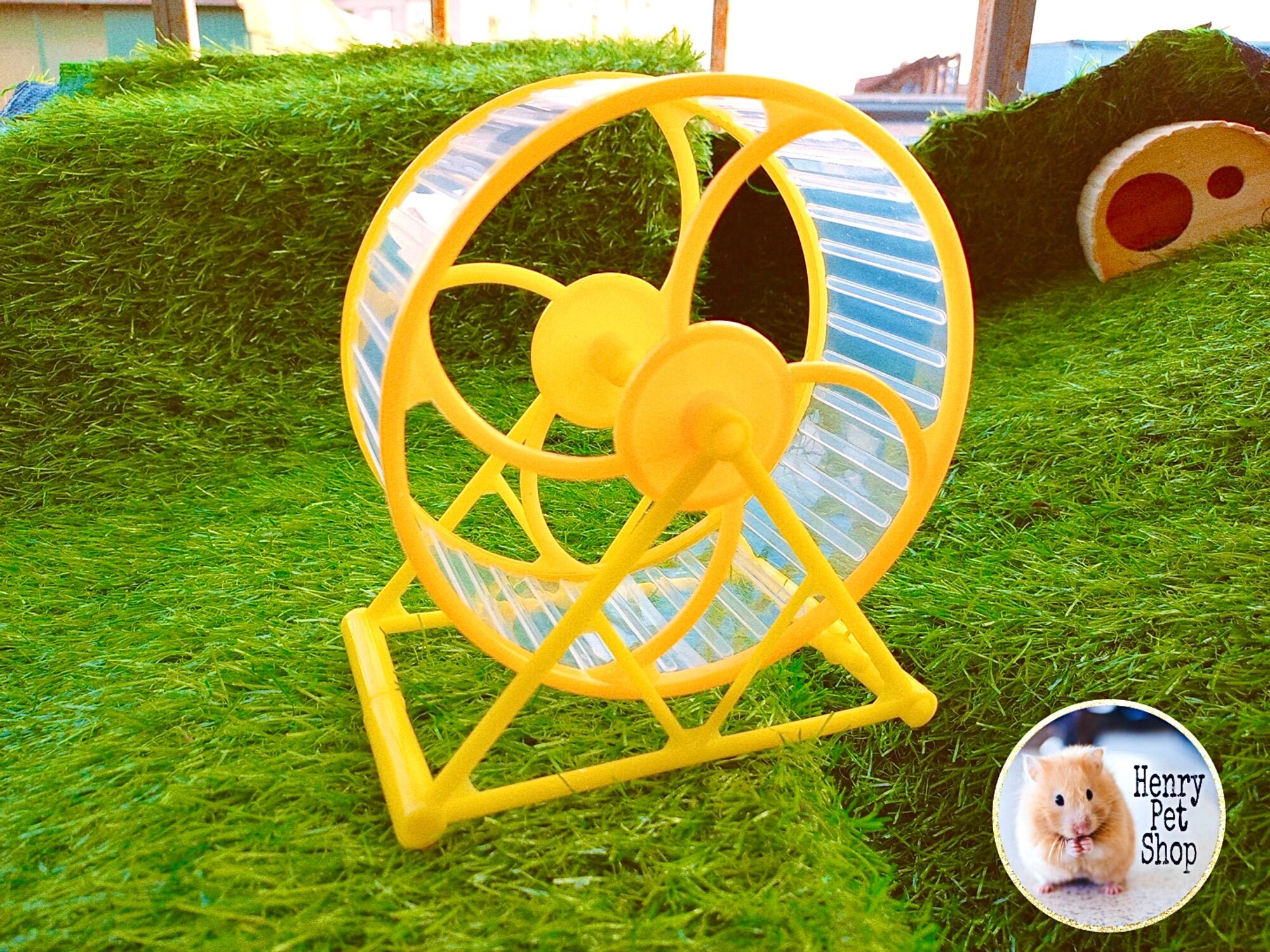 Wheel tesoro 15cm cho Hamster