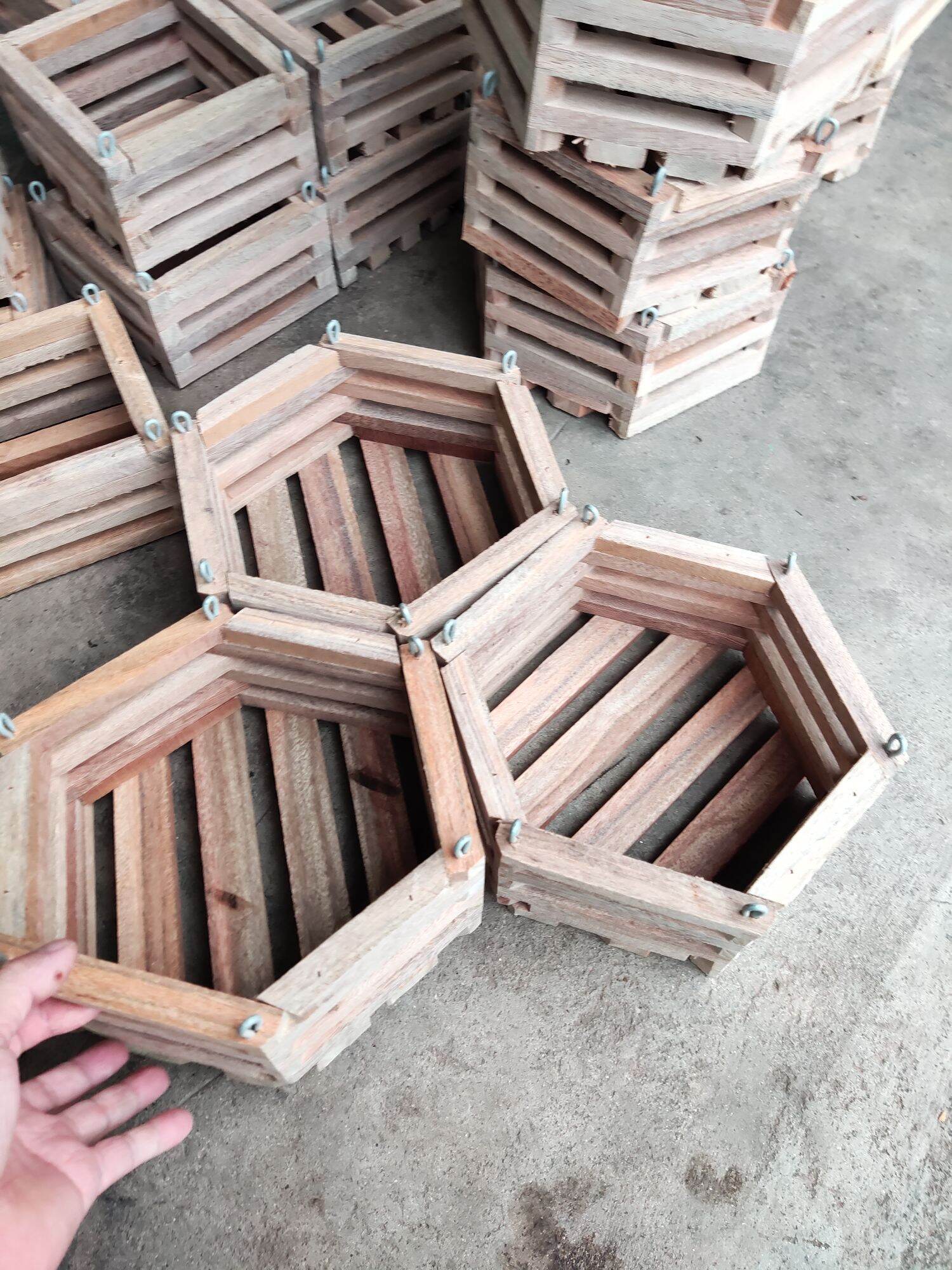 Combo 5 chậu gỗ lục giác size 20cm