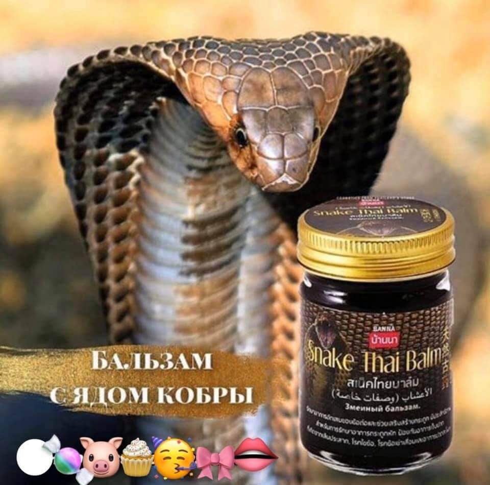 Dầu cù là rắn snake thái lan