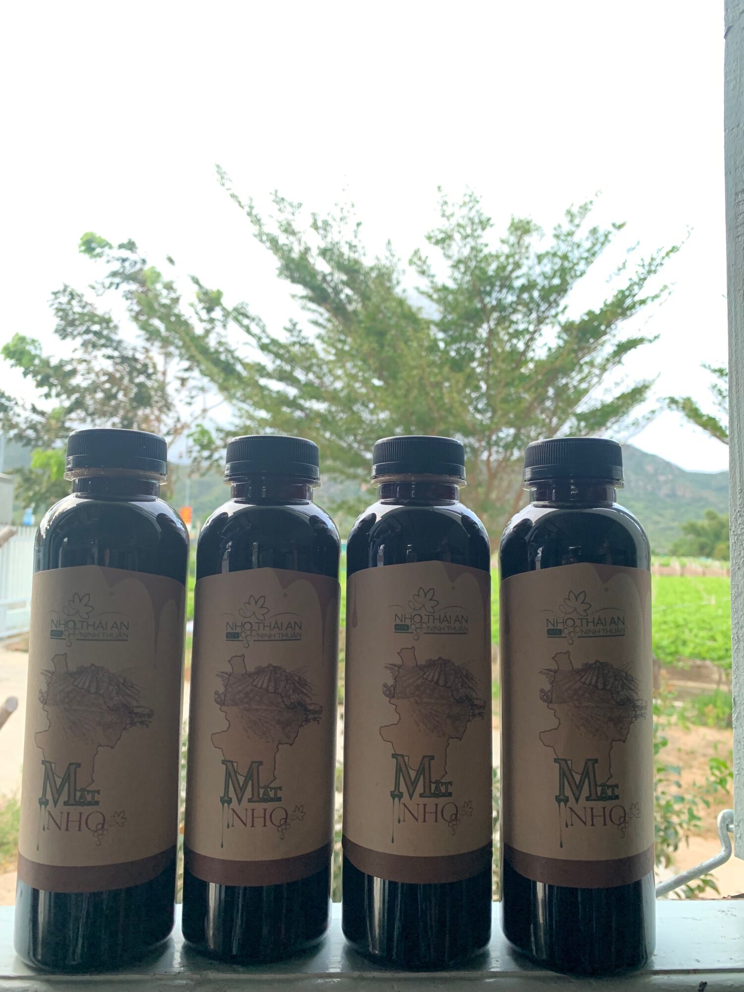 MẬT NHO THÁI AN PHAN RANG NINH THUẬN LOẠI 0.5L
