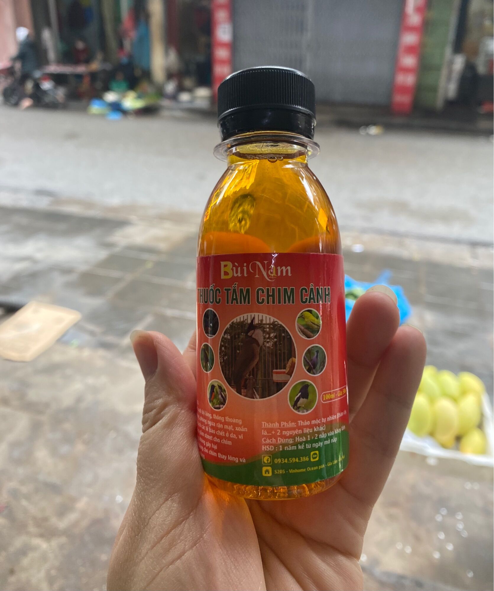 Tắm chim cảnh Bùi Nam