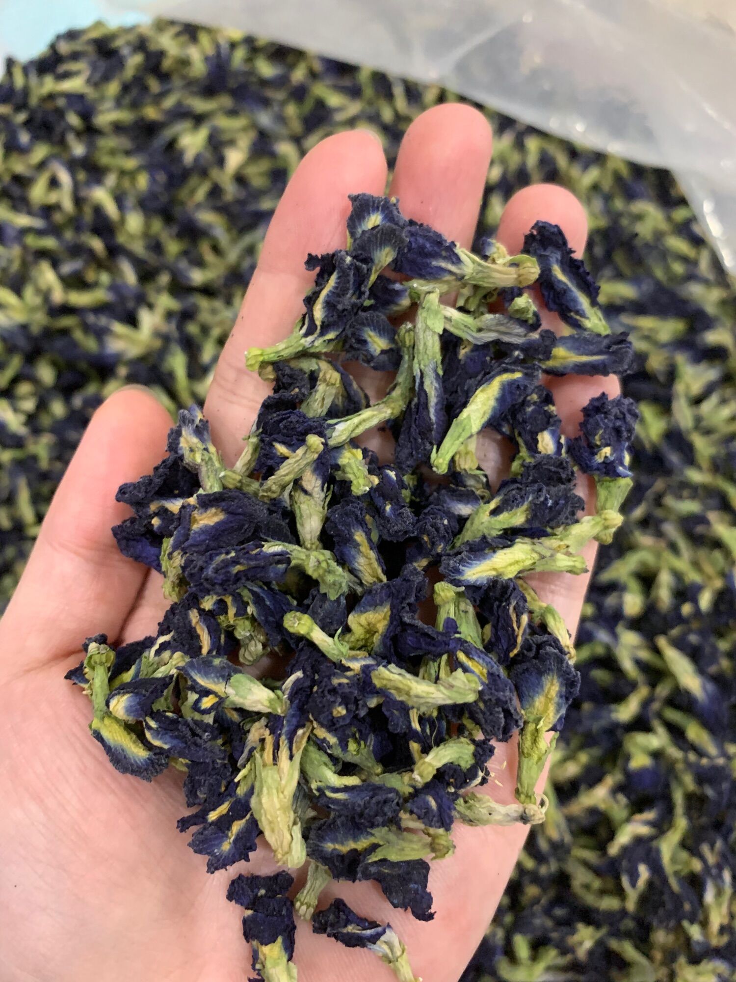 Hàng loại 1- trà hoa đậu biếc 1kg