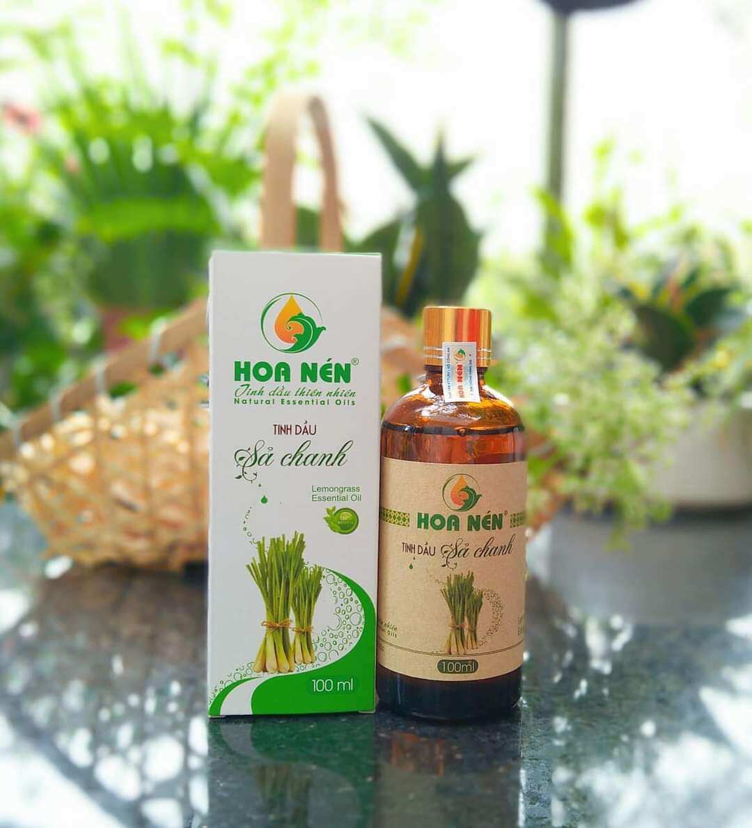TINH DẦU SẢ CHANH NGUYÊN CHẤT 10 ML
