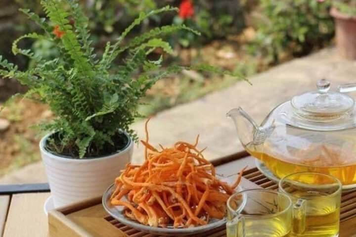 Đông trùng hạ thảo tươi dạng sợi 45gr