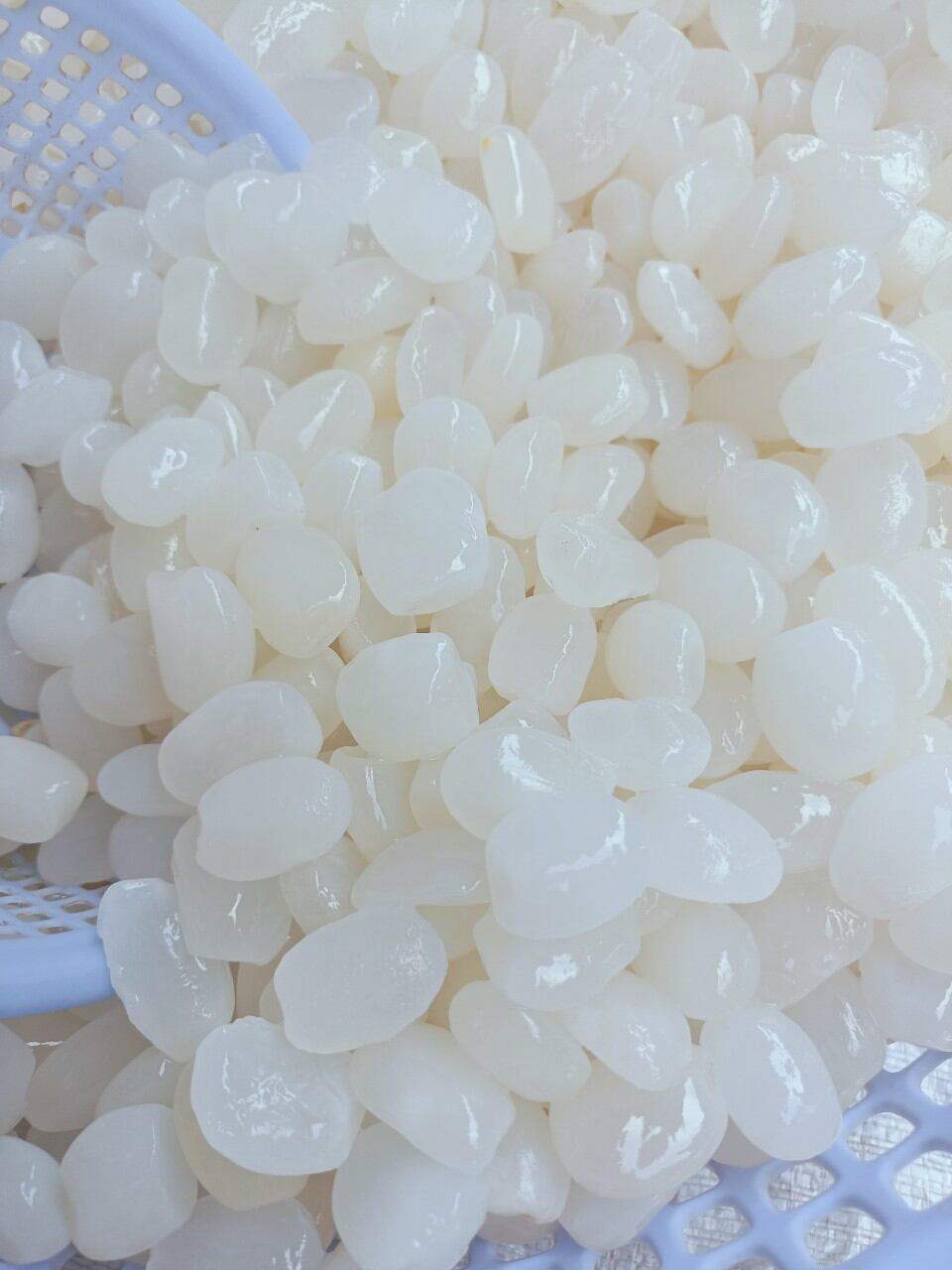 Hạt đác tươi dẻo ngon, size nhỏ 1kg