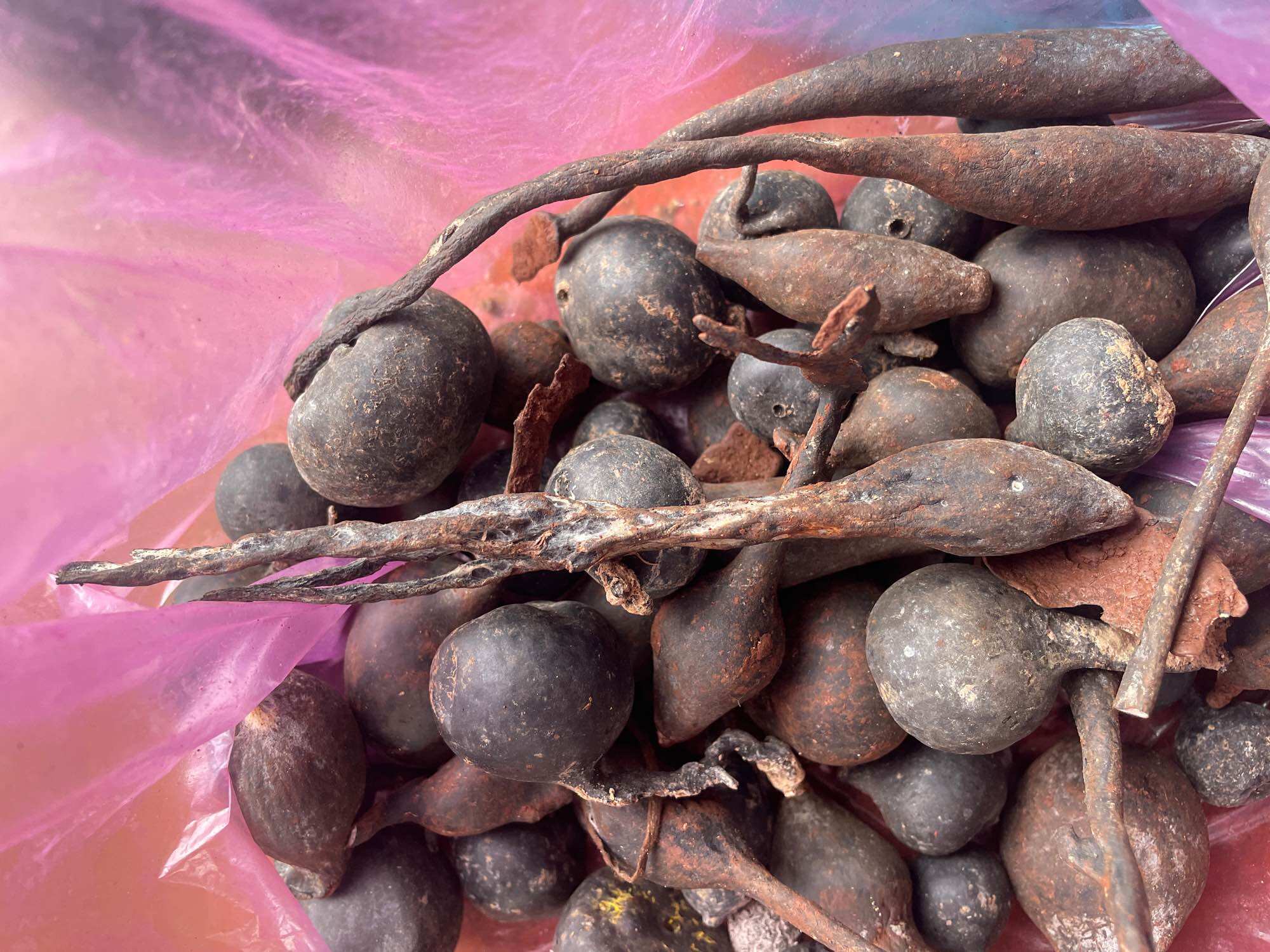 Sâm ô linh tươi 100g