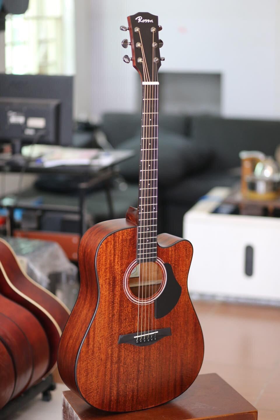 Đàn guitar acotisc rosen g15