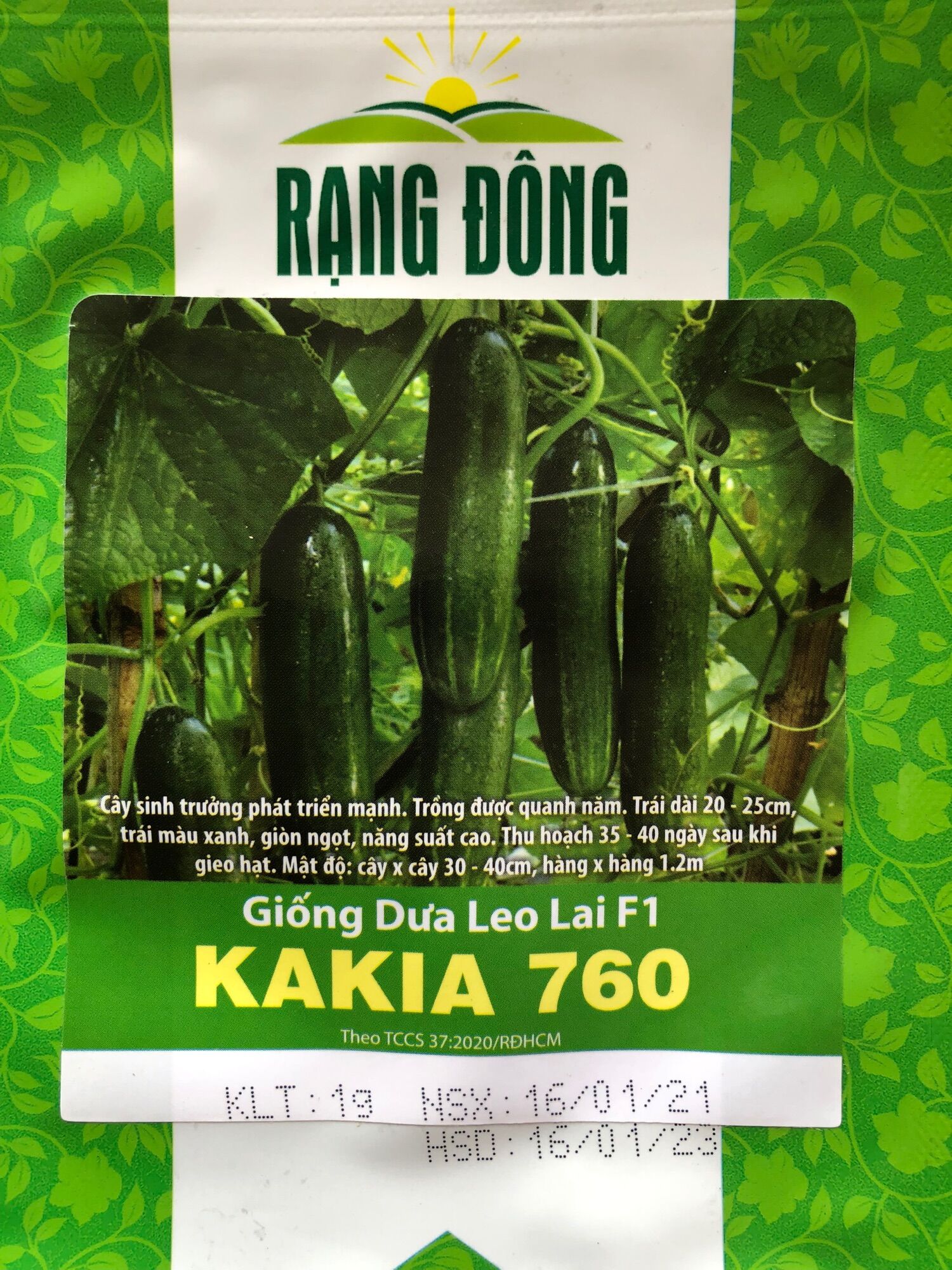 Dưa leo
