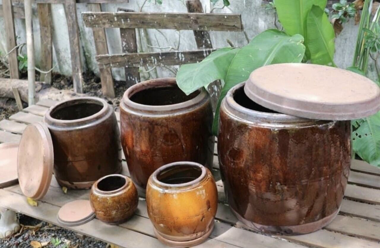 Chậu trồng cây, Lu chậu trồng sen nuôi cá