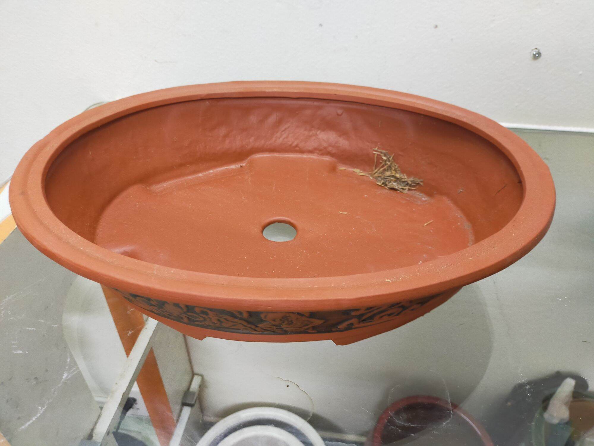 Chậu trồng cây hình oval ( dài 50 cm, rộng 39 cm, cao 10 cm)