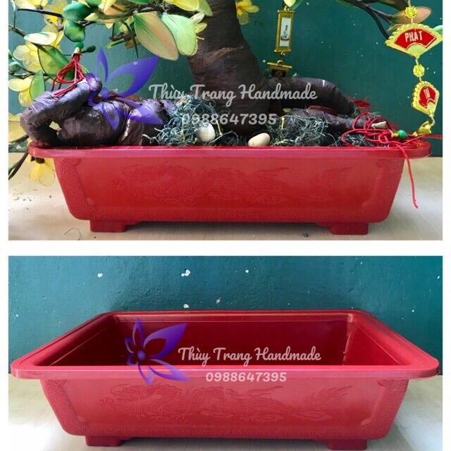 Chậu nhựa bonsai chữ nhật 30x20x8 cm