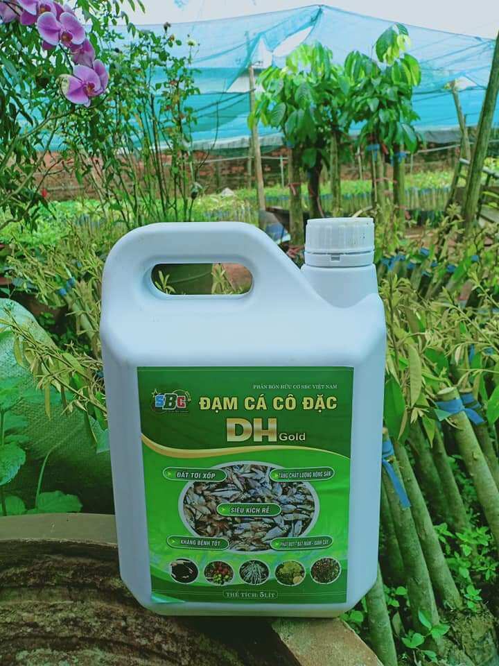 phân bón đạm cá cô đặc sbc gấp 8 lần phân cá thường