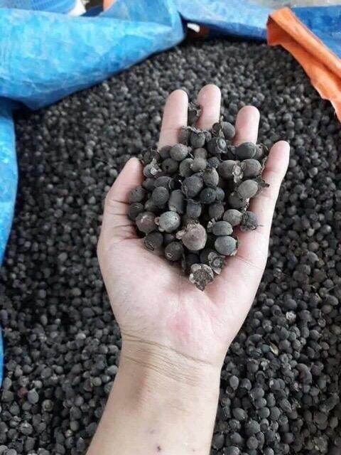 1kg quả sim rừng khô