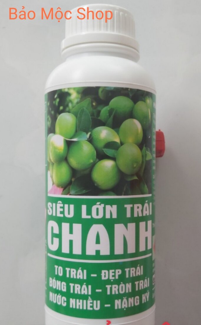 Lớn trái trên chanh - cam - quýt - bưởi , lớn trái nhanh, xanh trái, đẹp trái - tròn trái - nặng ký
