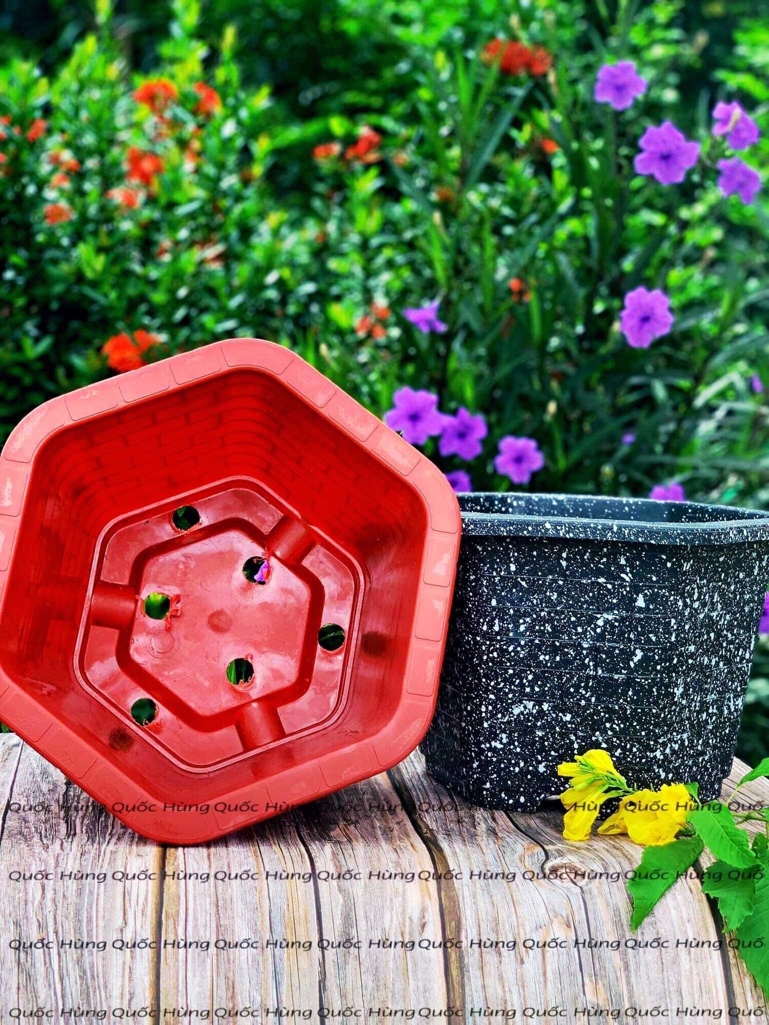 [ 5 Cái ] Chậu nhựa Lục Giác FAB đủ size