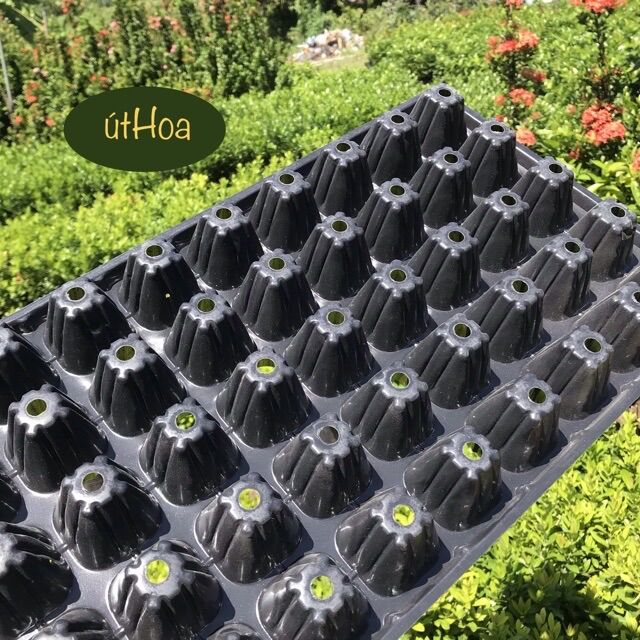 (Siêu bền chắc) Khay ươm hạt 32,50,72,105,200 lỗ