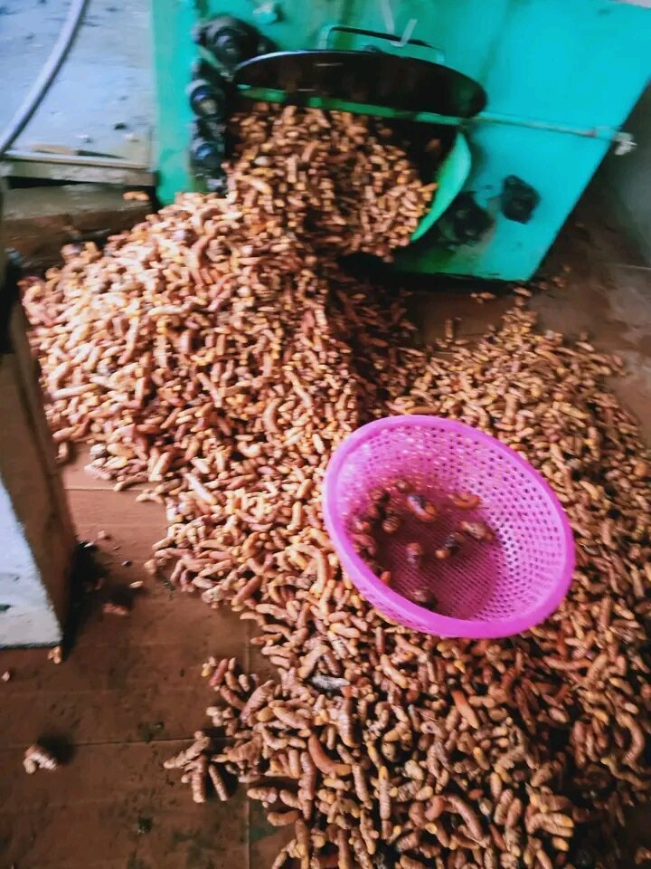 500gr Bột nghệ vàng nguyên chất