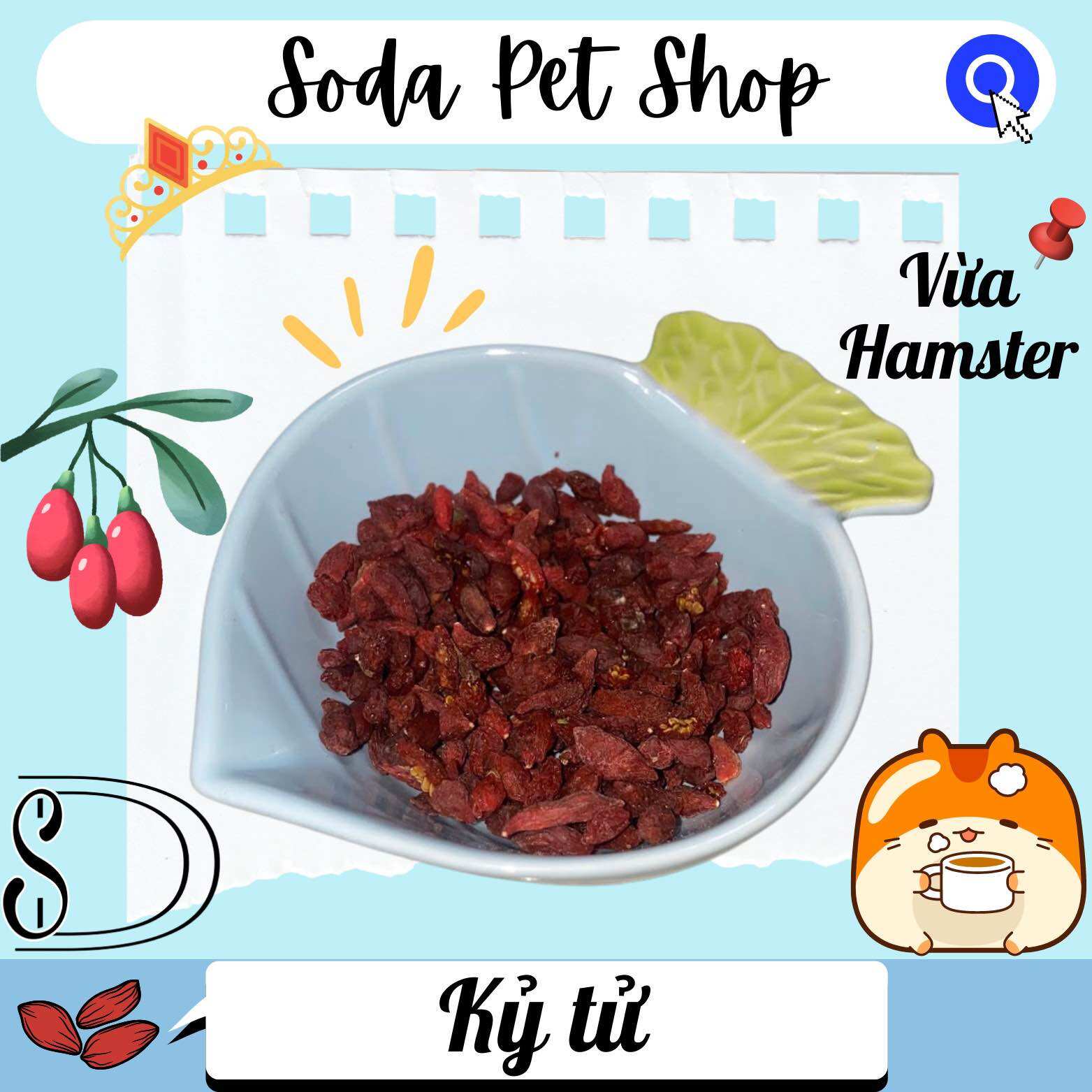 Kỷ Tử Cho Hamster