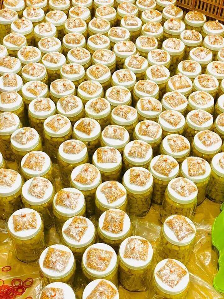 Nho Lào Muối Ớt 500gr