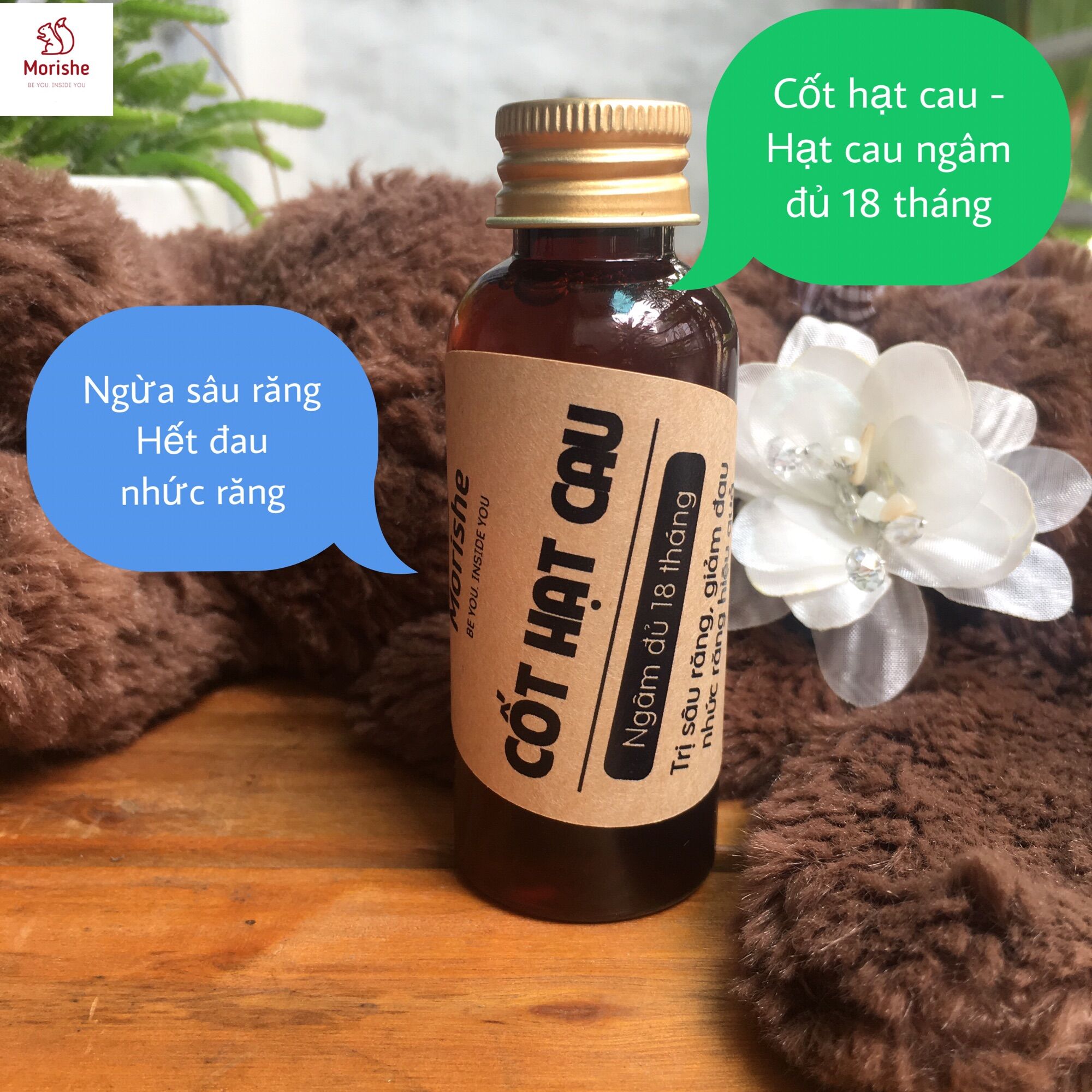Cốt hạt cau - Hạt cau ngâm ngừa sâu răng, hết viêm sưng nướu, giảm đau nhức răng