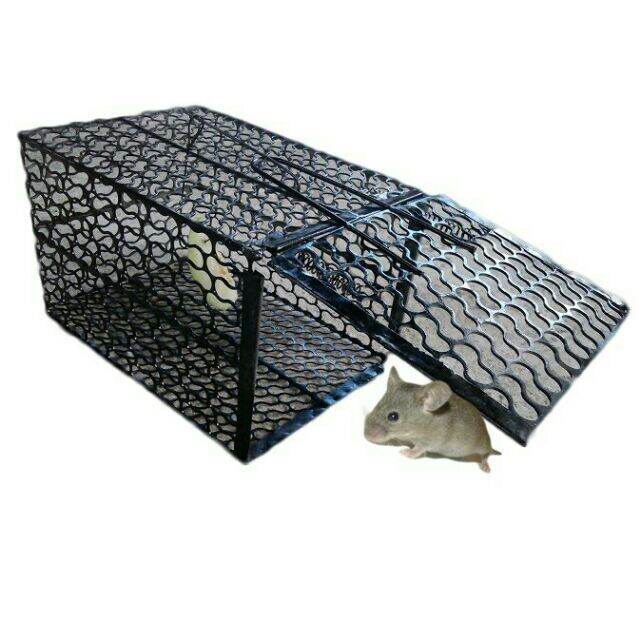 Bẫy chuột lồng chắc chắn, hiệu quả có thể tái sử dụng