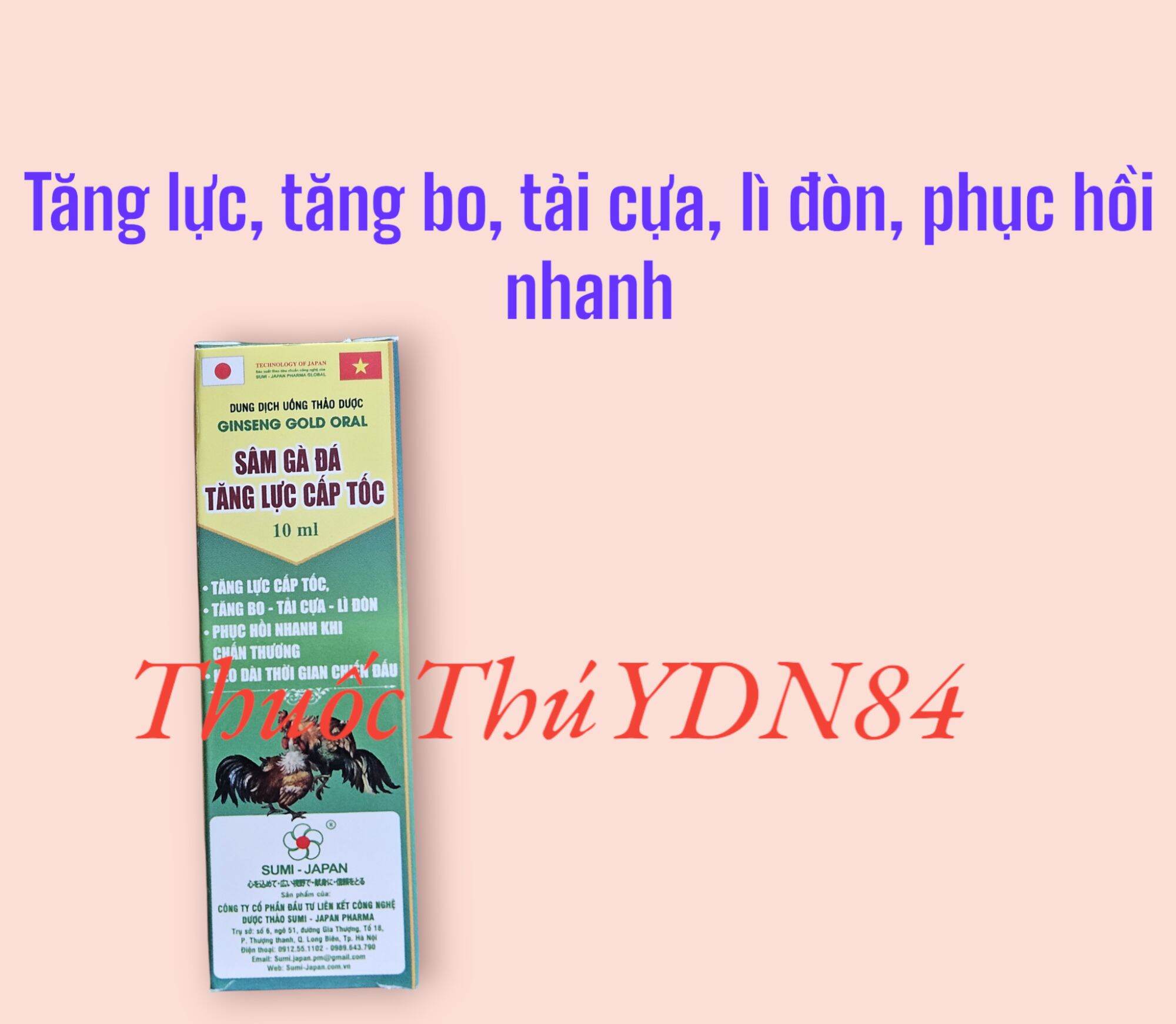 SÂM GÀ ĐÁ, TĂNG LỰC CẤP TỐC, TĂNG BO TẢI CỰA LÌ ĐÒN