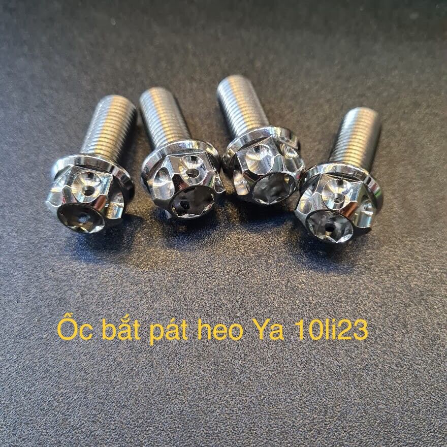 Ốc salaya inox304 10ly23 gắn pas heo ya