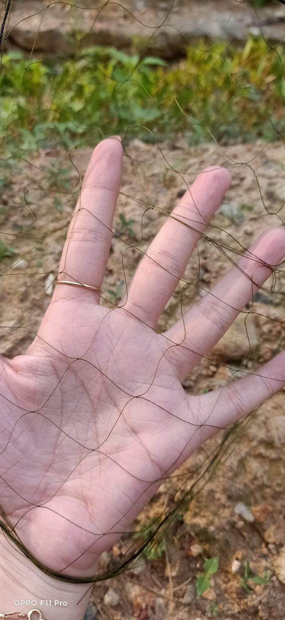 1 bộ cung cút 10 cung