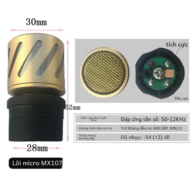 Micrô Điện Từ Có Dây Không Dây Chuyên Nghiệp KTV Micrô Đầu Thu Chống Kêu Đầu Thu Âm Thanh Phụ Kiện Điện Tử Gia Dụng